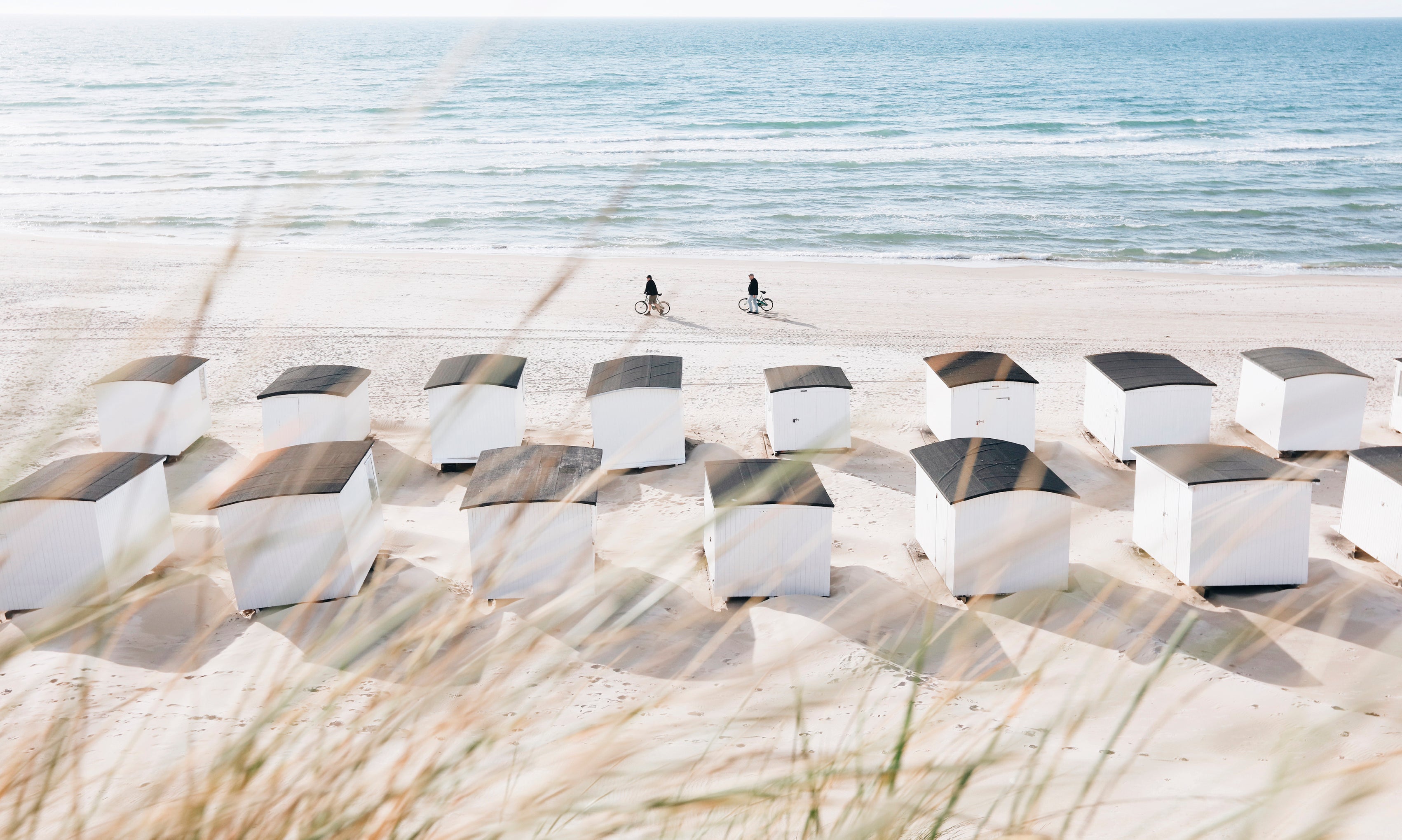 Windsweptjourney-120x80cm.jpg
