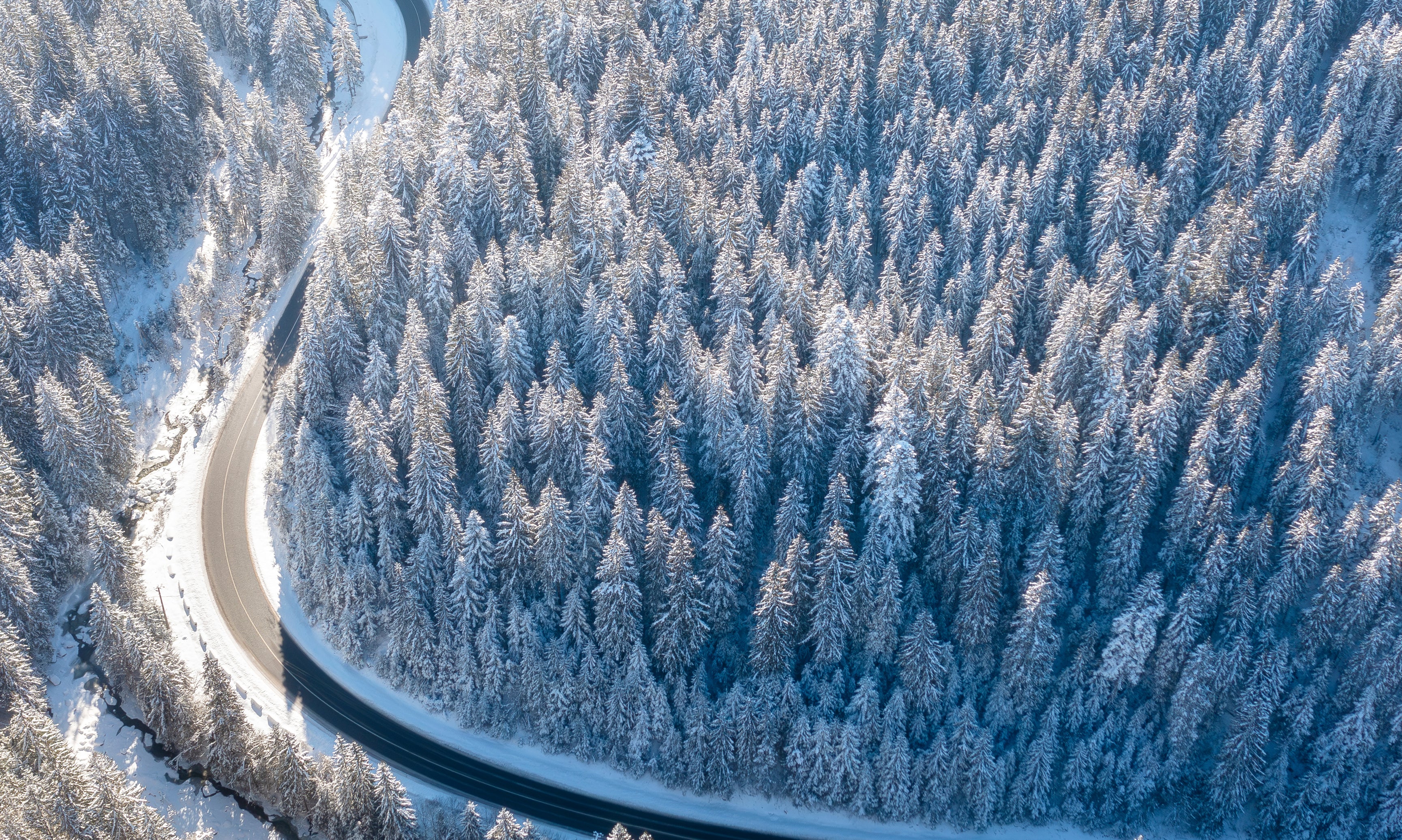 Wintercurve-120x120cm.jpg