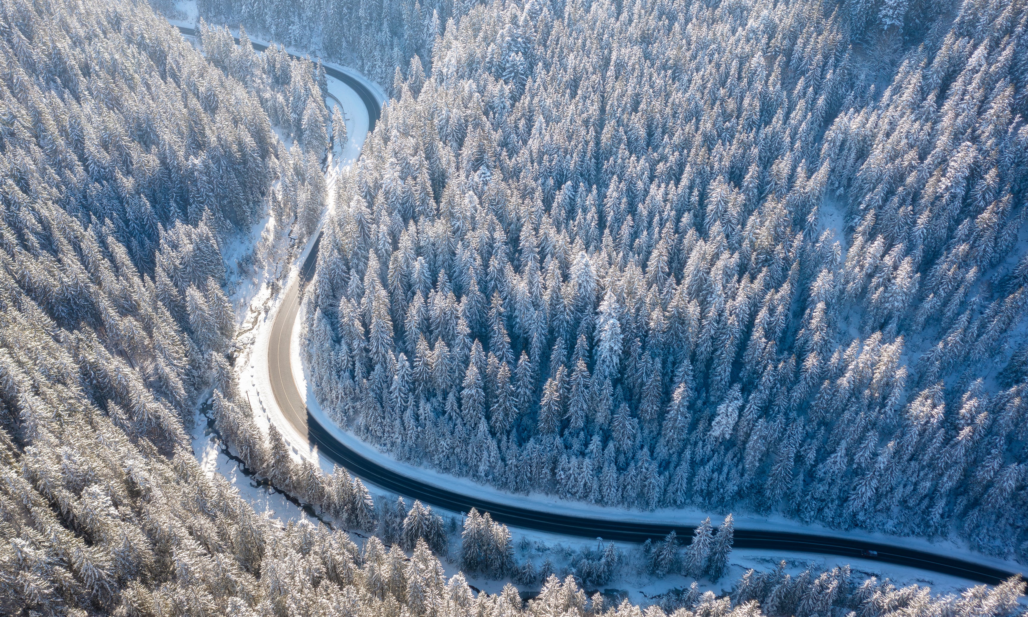 Wintercurve-120x80cm.jpg