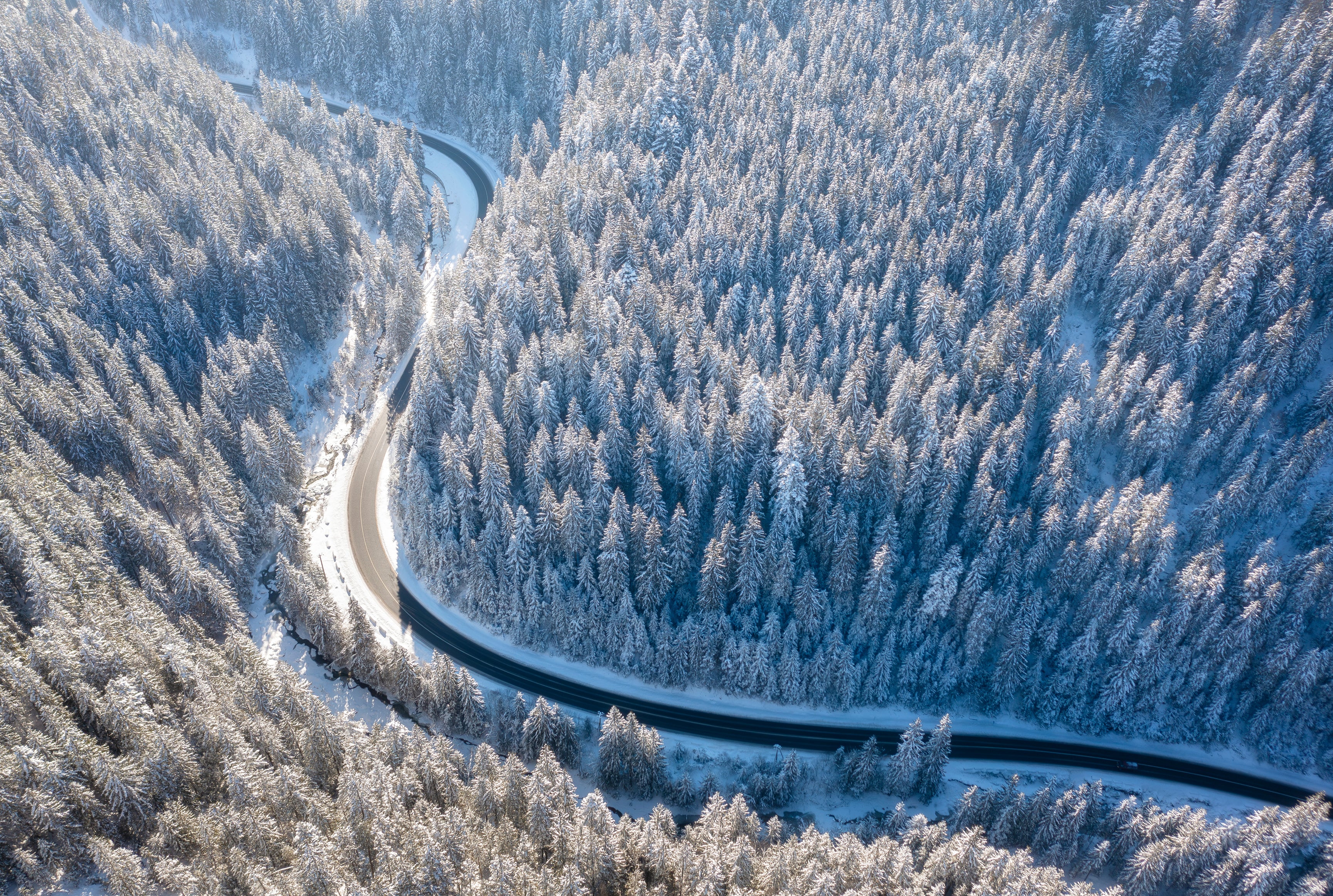 Winter curve