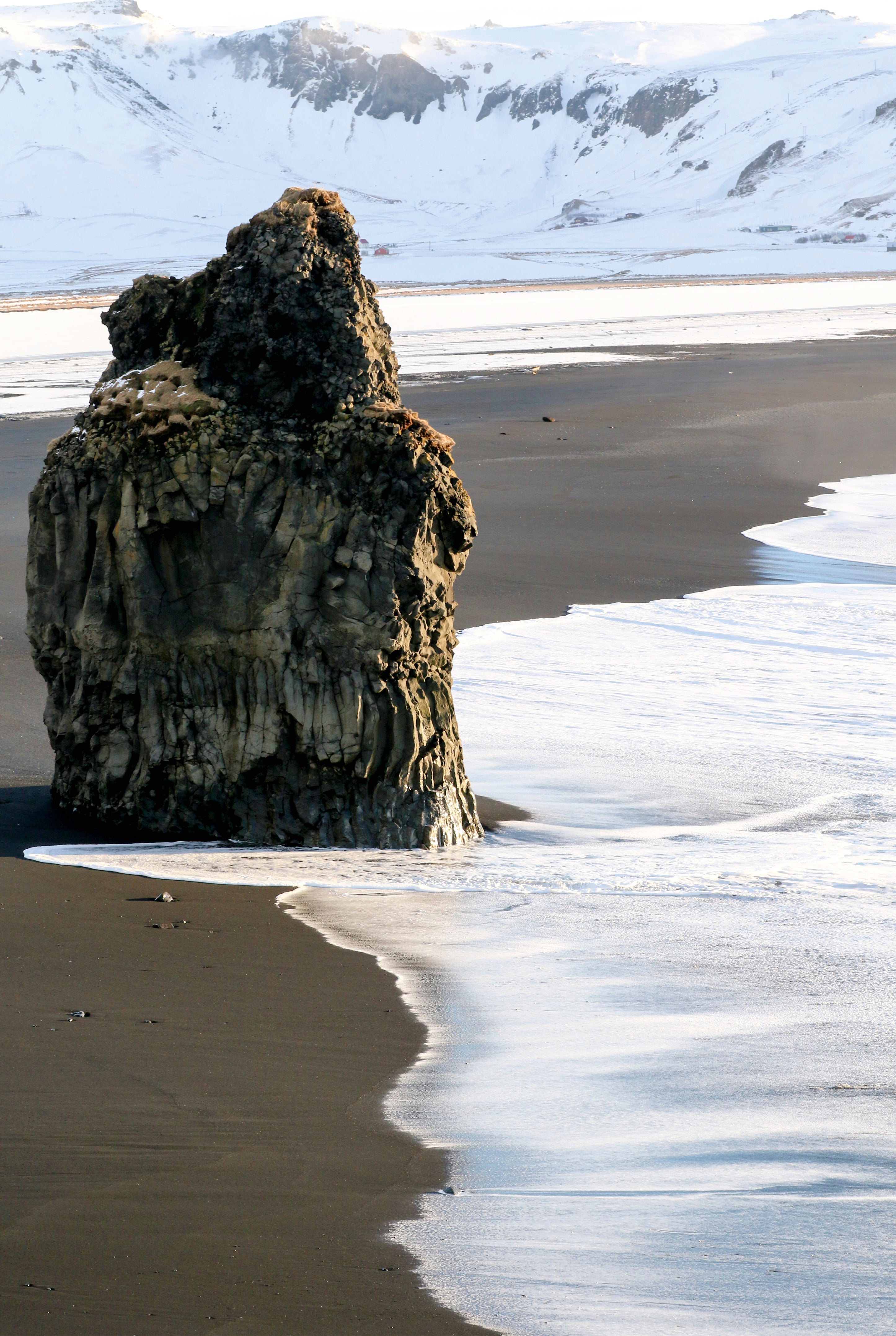 Winter guardian