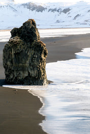 Winter guardian