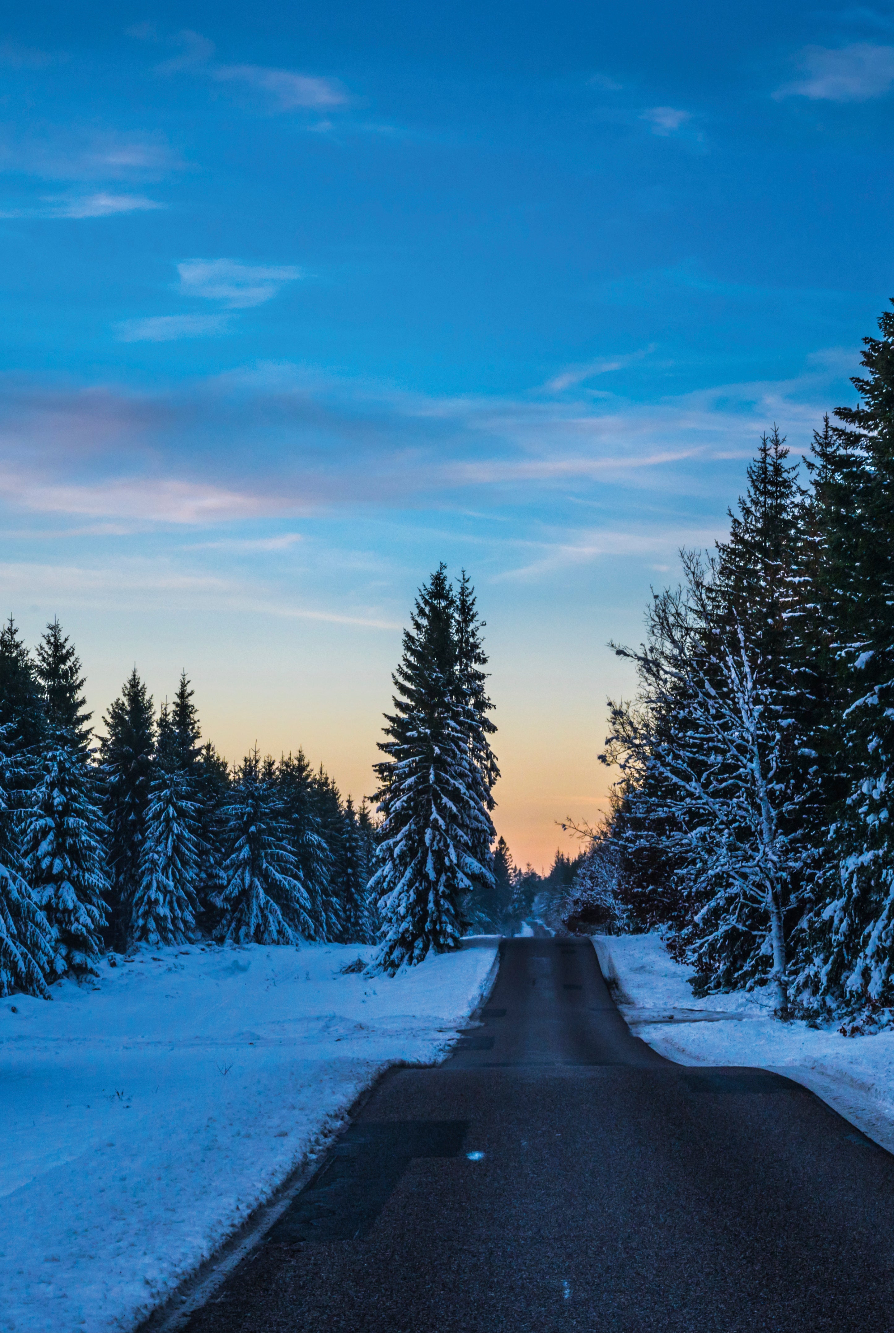 Winter road