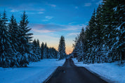 Winter road