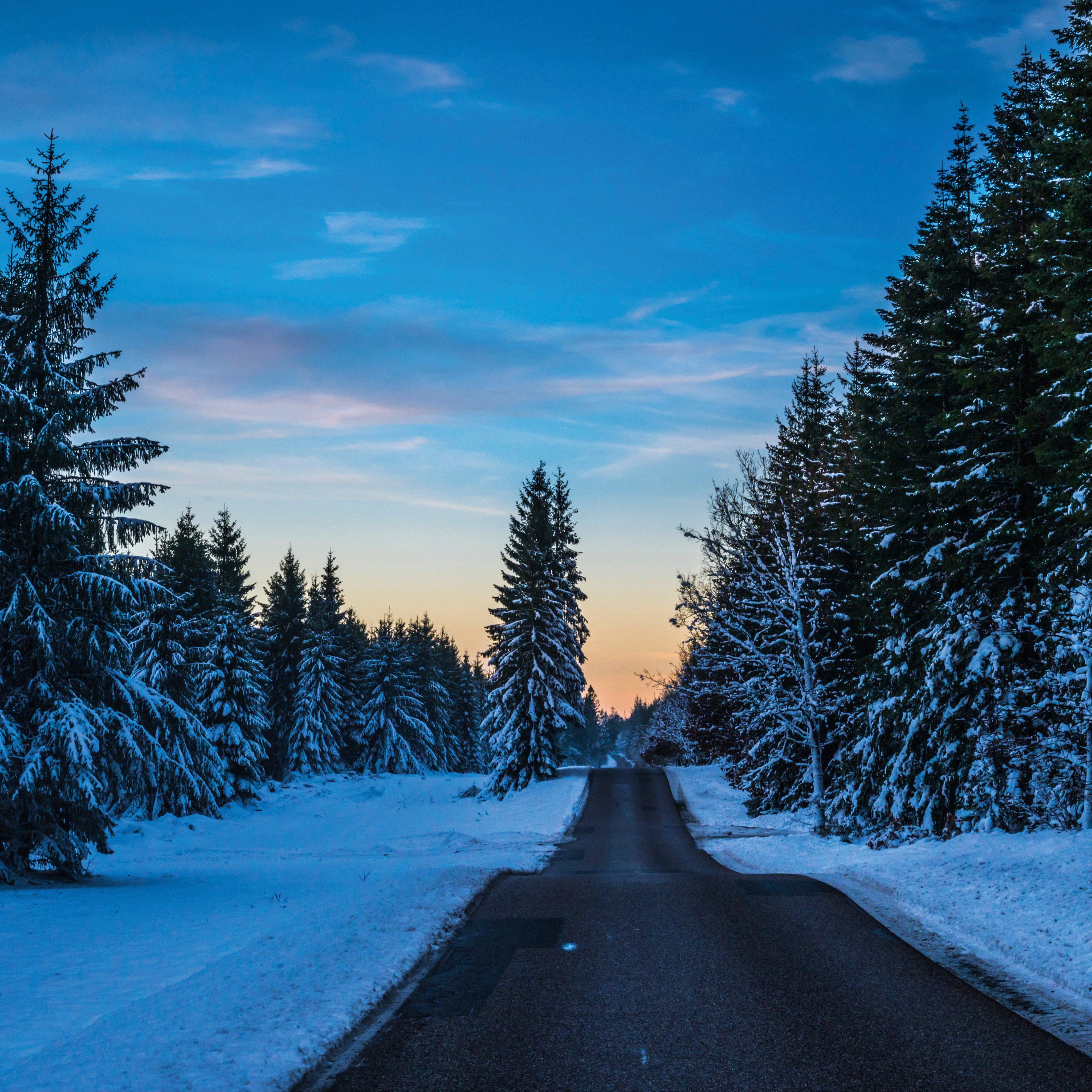 Winter road