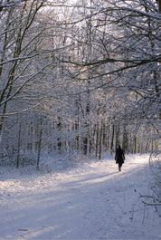 Winter wonder