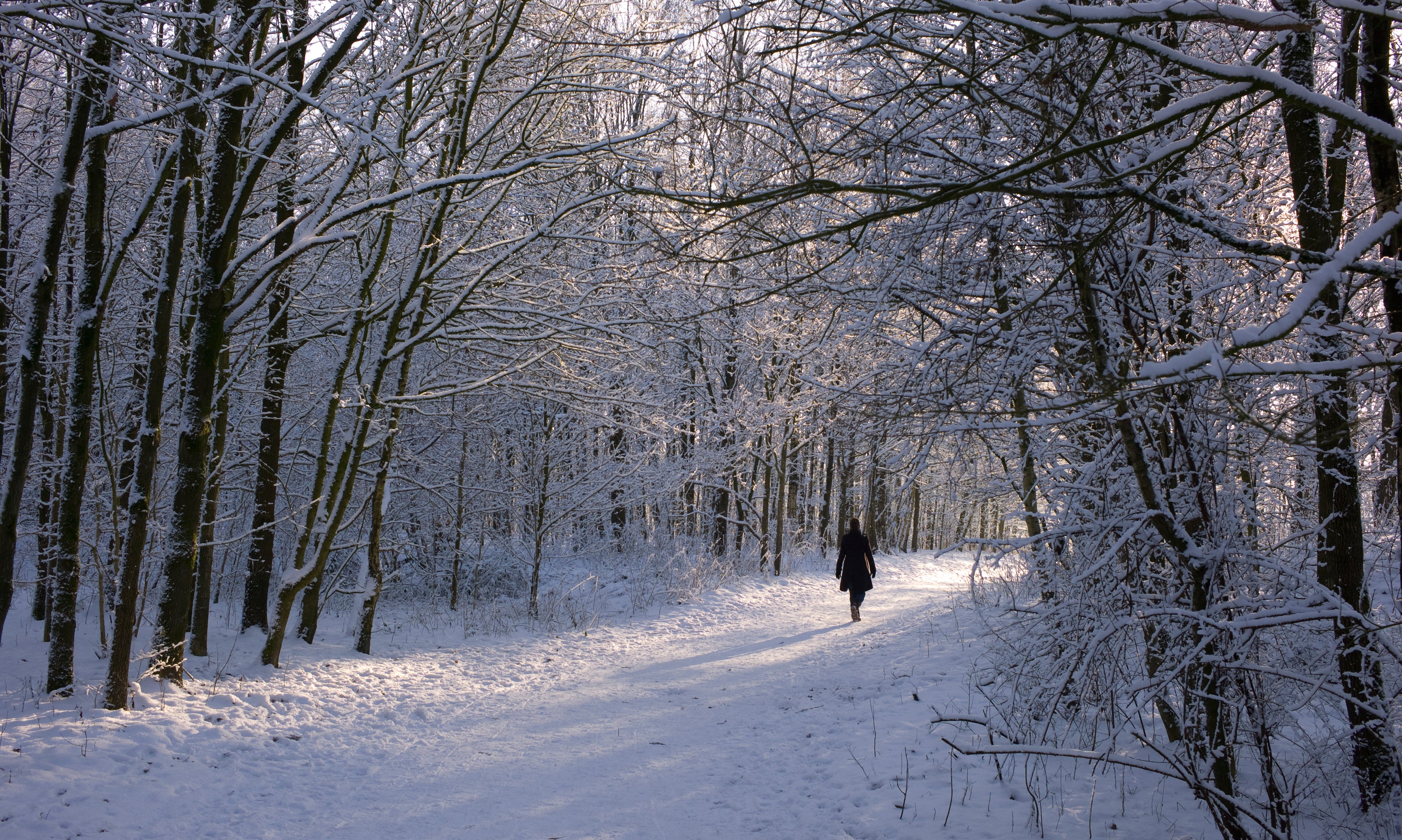 Winterwonder-120x80cm.jpg