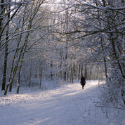 Winter wonder