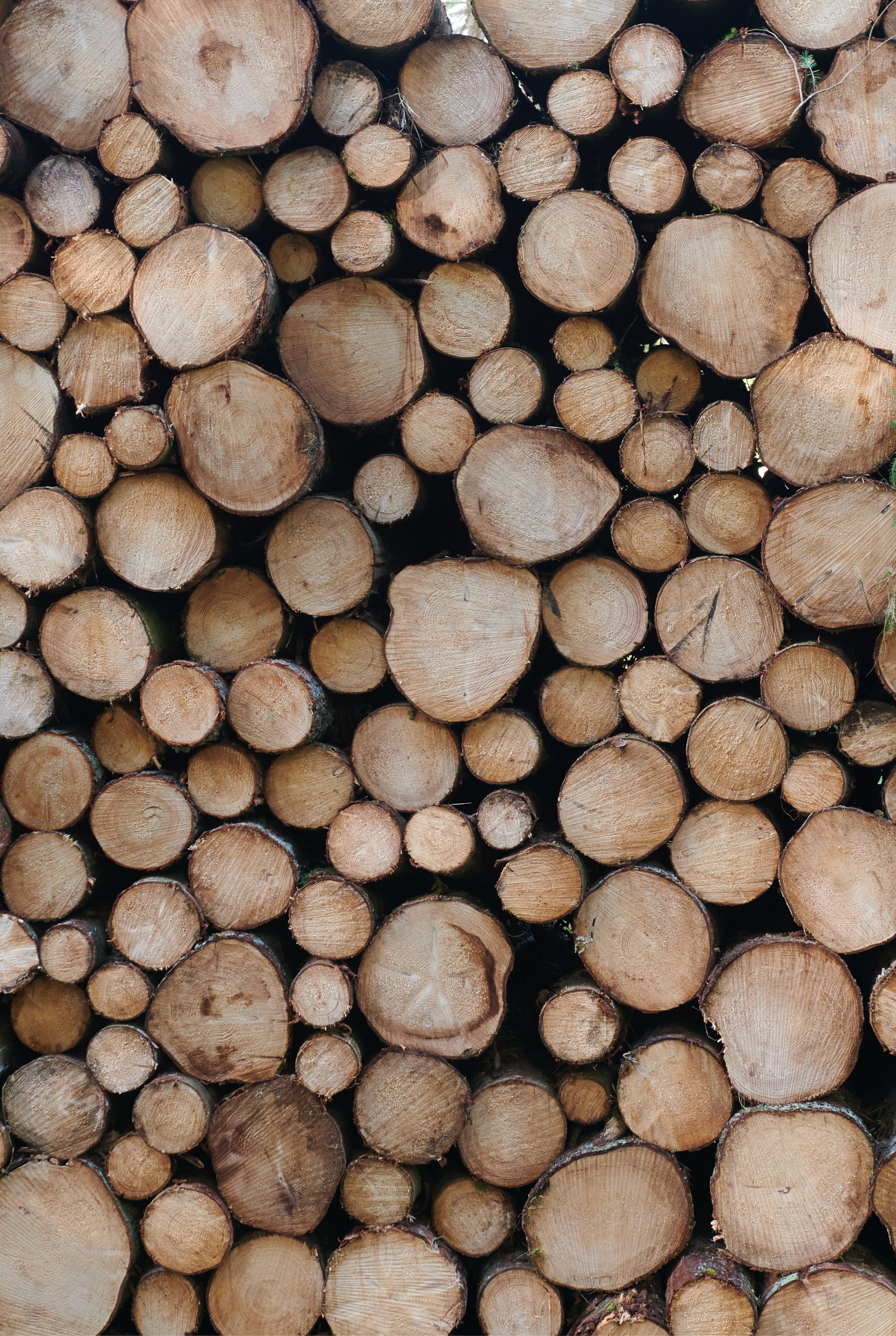 Woodmates
