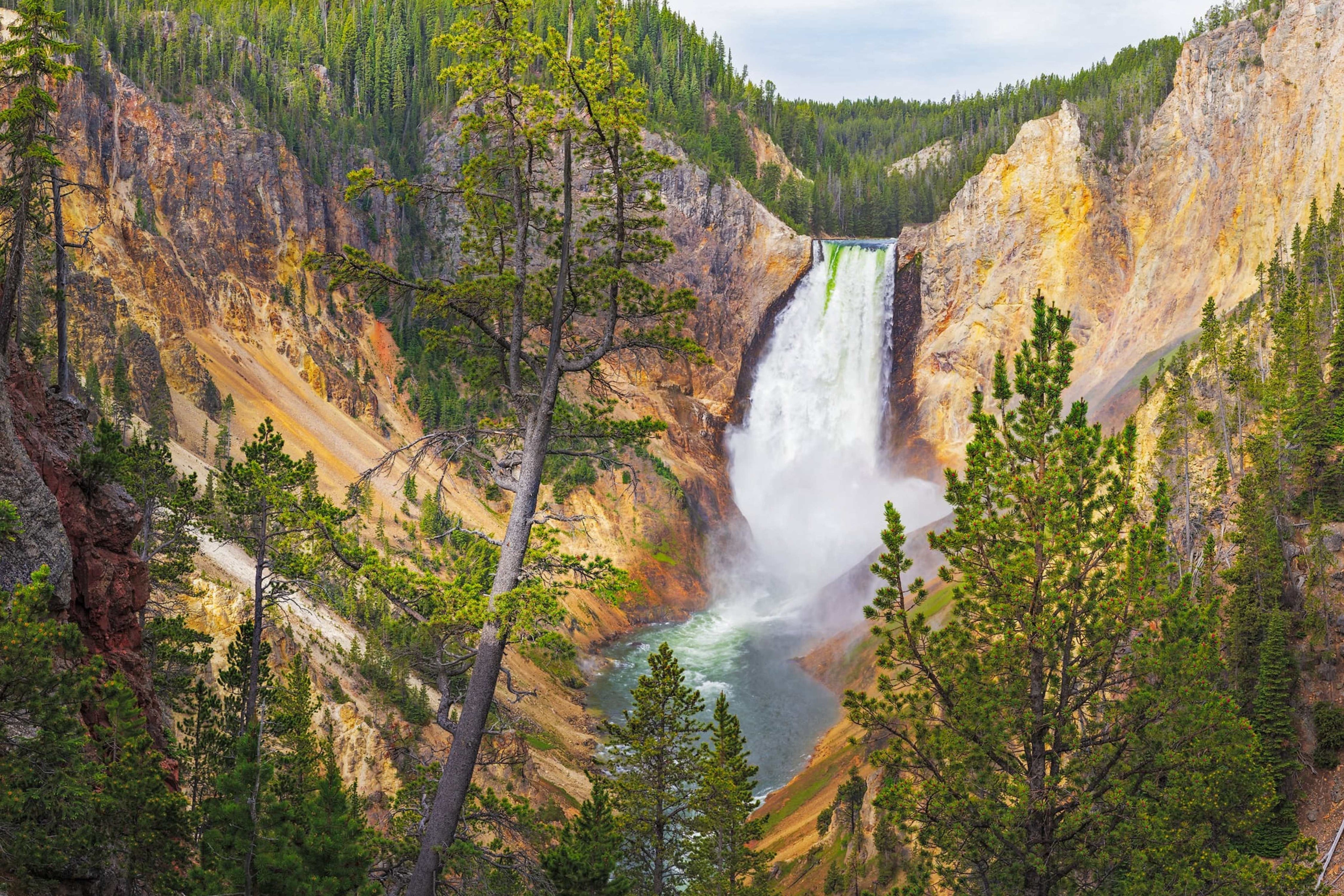 Yellowstone falls from lower lookout point