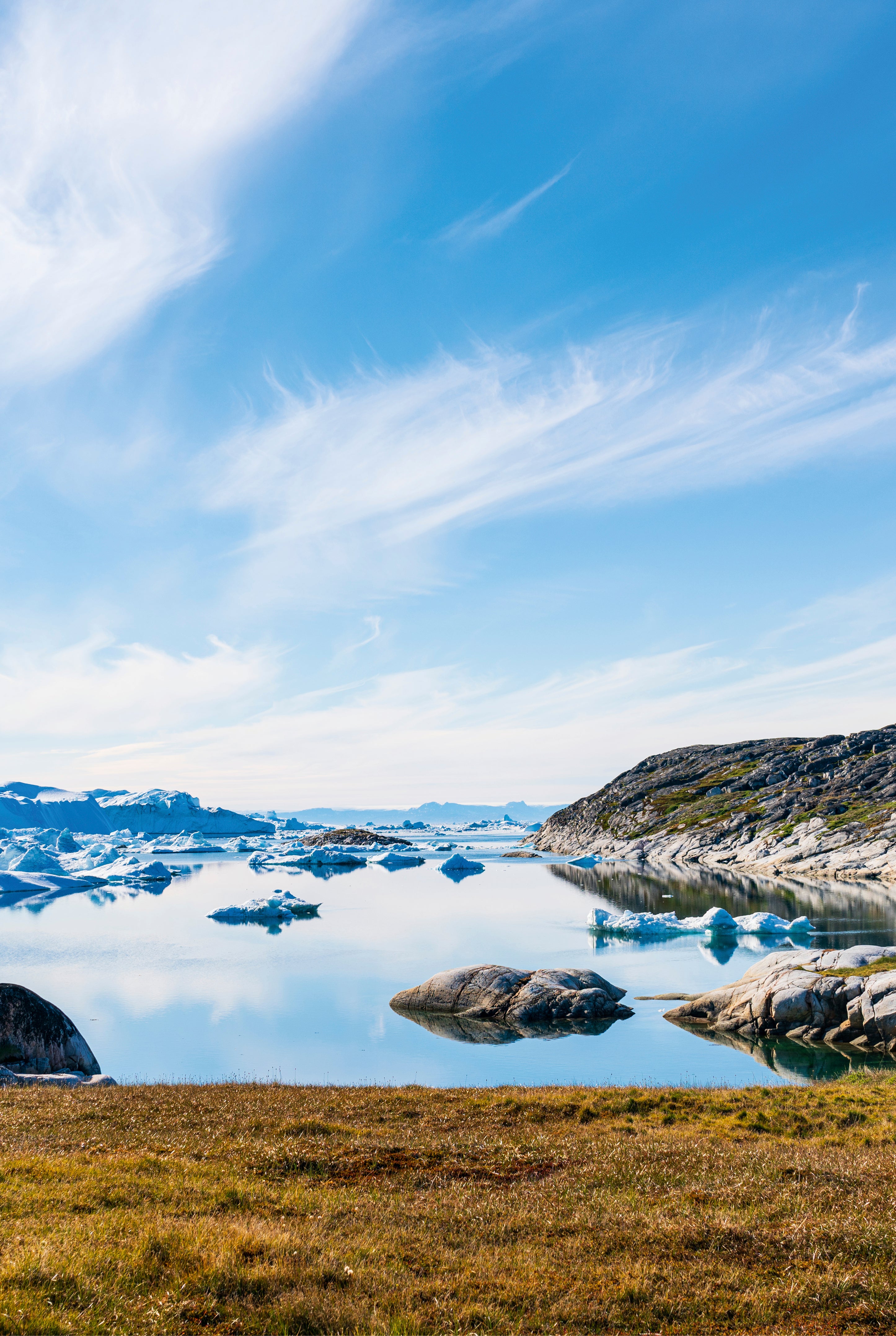 A arcticbay