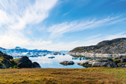 A arcticbay