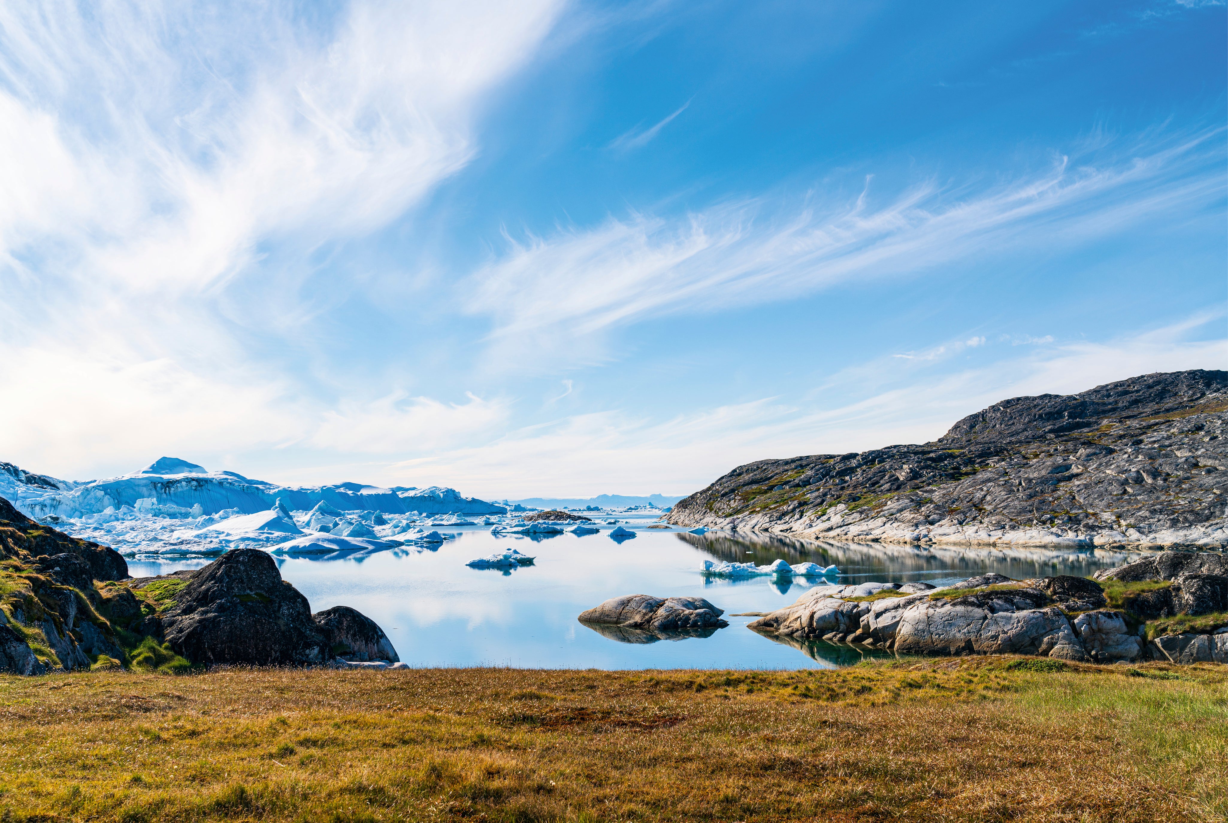 A arcticbay