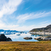 A arcticbay