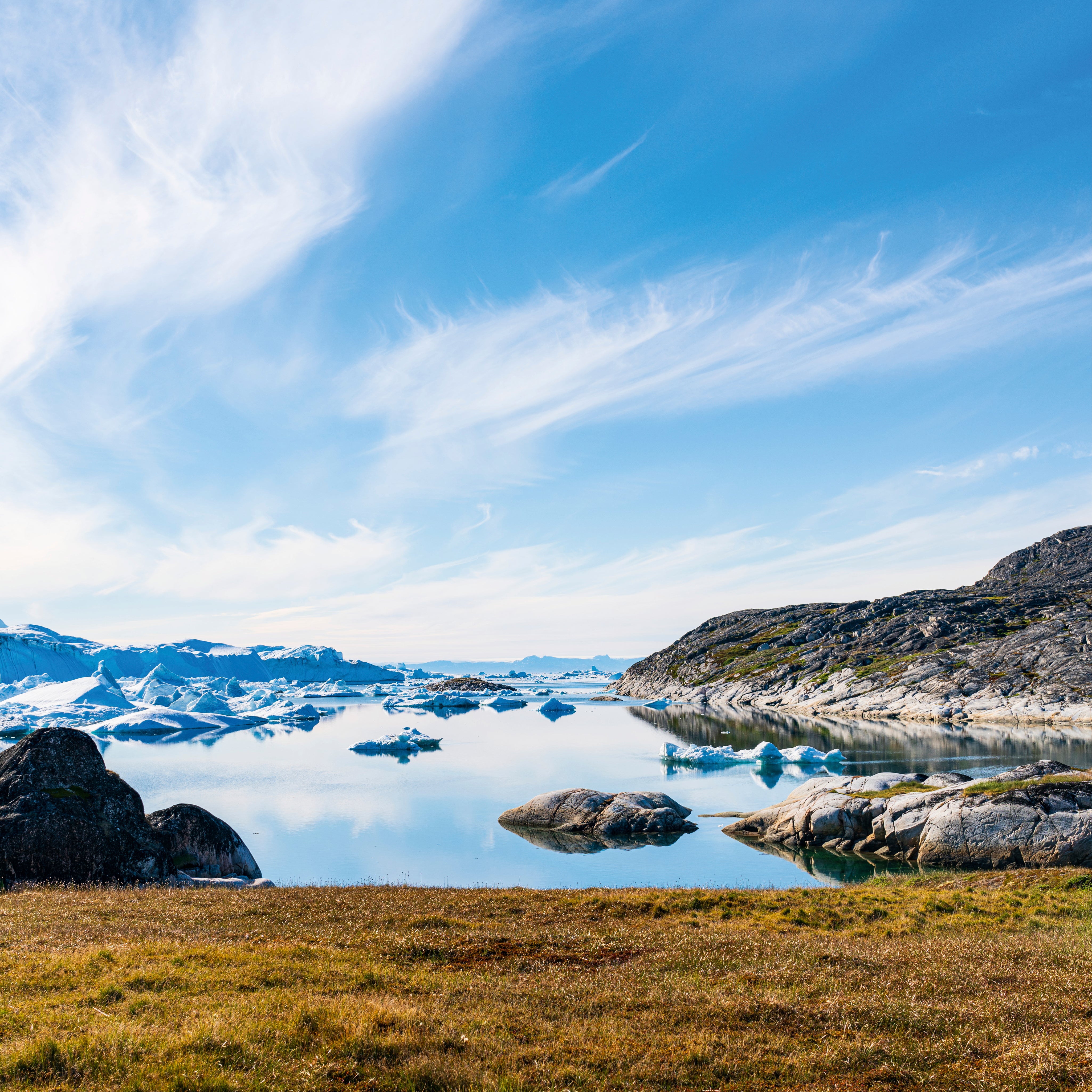 A arcticbay
