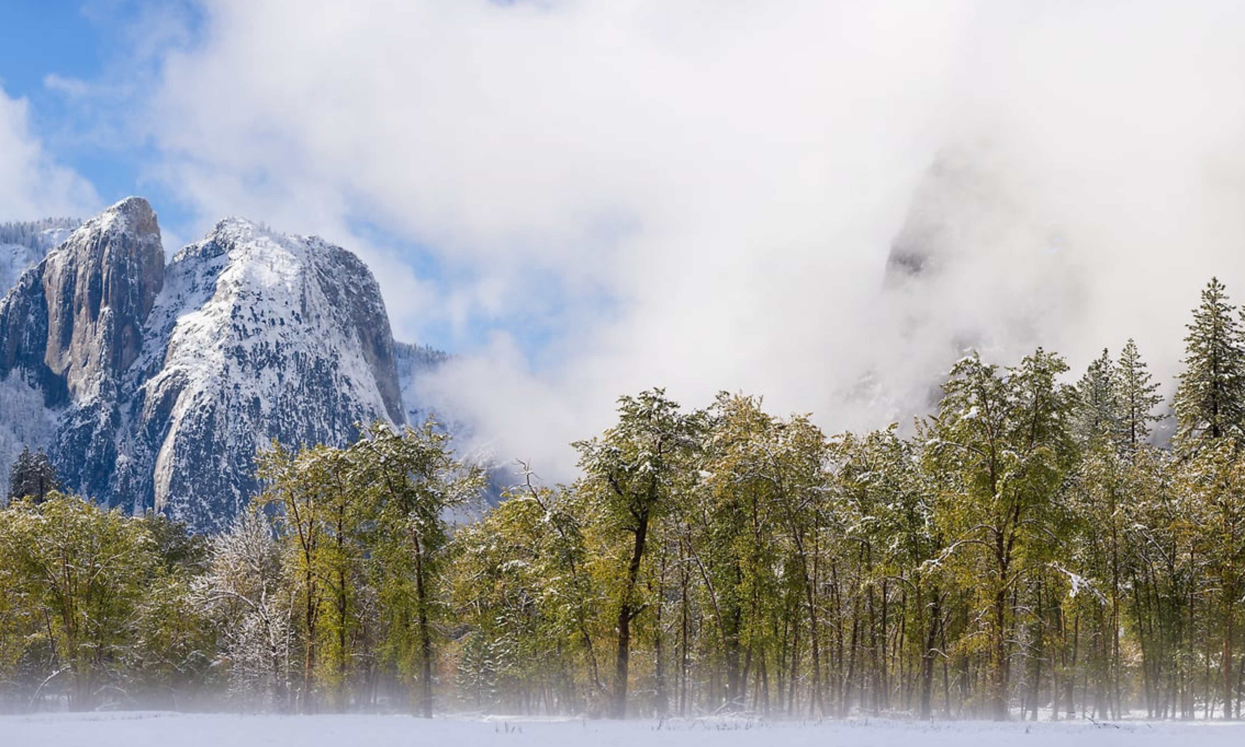 snowinthemeadows.jpg
